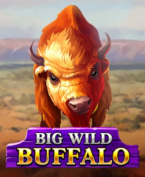 Play Big Wild Buffalo at Zula Bet Casino